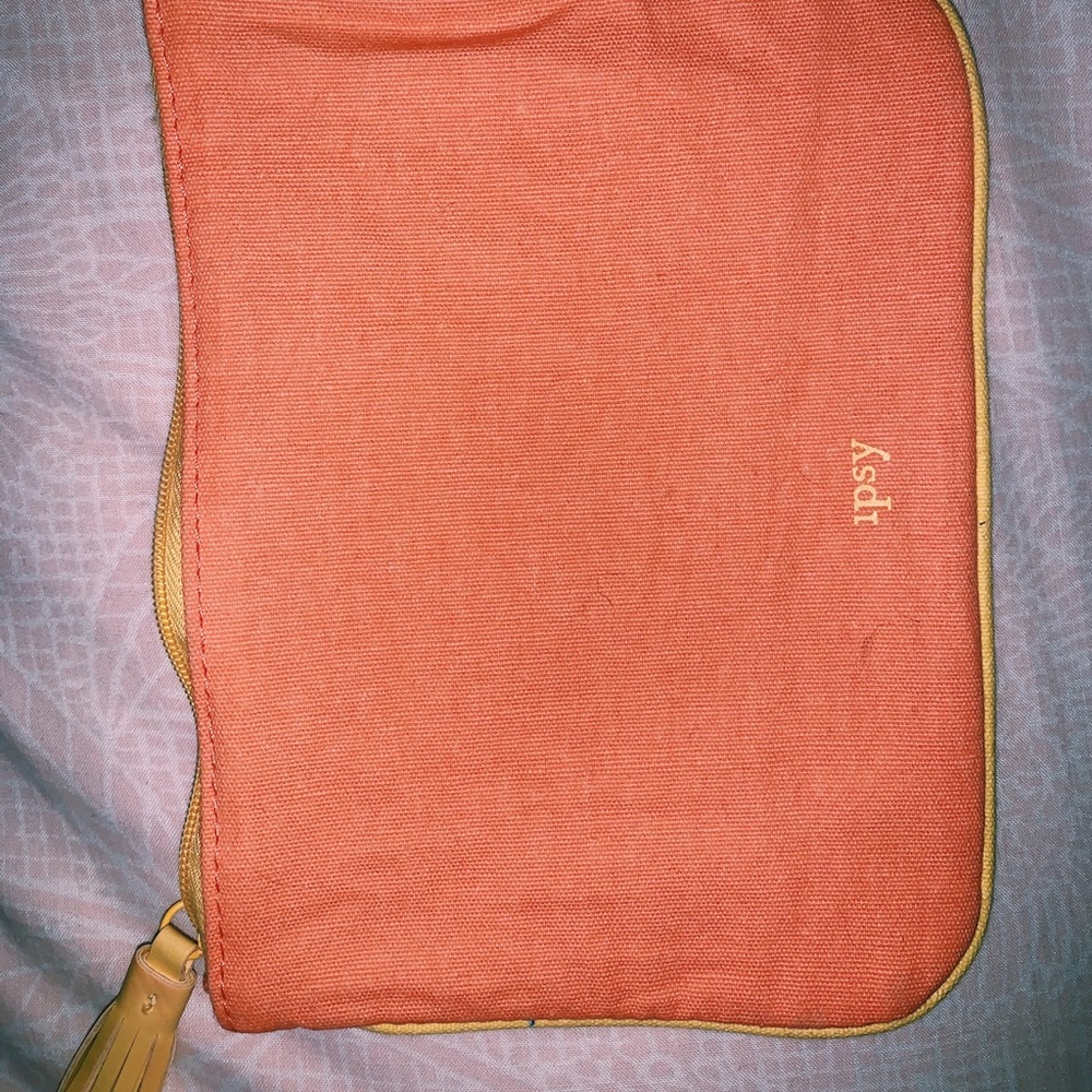 ☼ small ipsy makeup bag ☼
